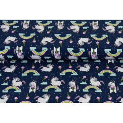 Jersey - Zuckerwatte Einhorn dunkelblau